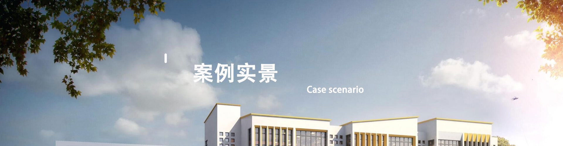 case_banner